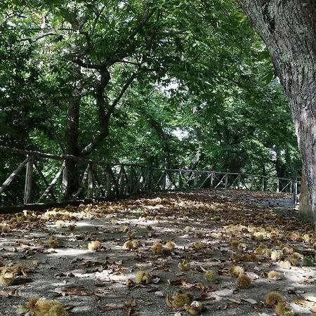 Il Parco Dell'upupa Gæstehus