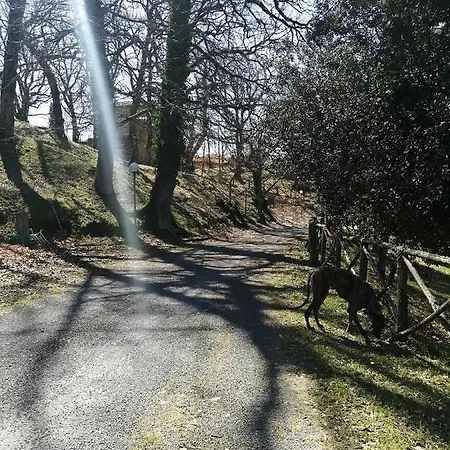 Il Parco Dell'upupa *