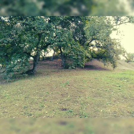 Il Parco Dell'upupa * Bagnoregio